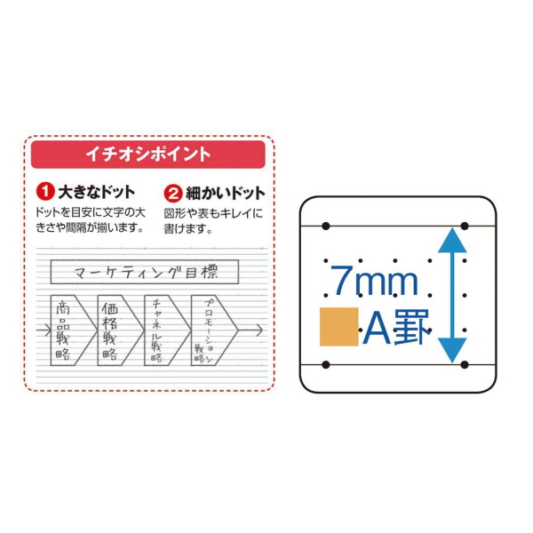 学習罫キャンパスノート　図表罫　７ｍｍ　セミＢ５