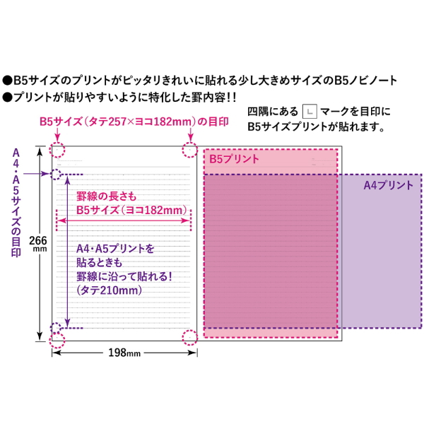 キャンパスノート　プリント貼付用　ドット入り罫線　Ｂ５ノビ