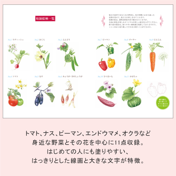 やさしい大人の塗り絵　野菜と花編