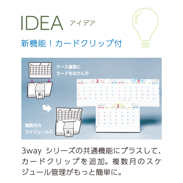 ２０２５年　ＤＭサイズカレンダー（紙プラ）