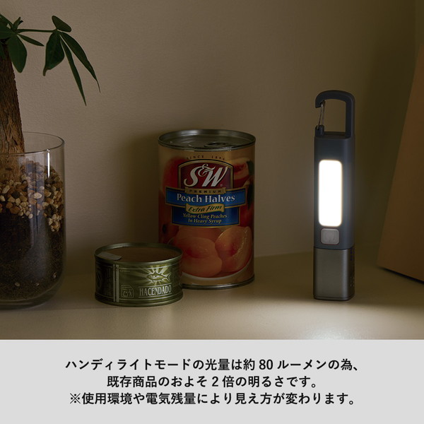 ＬＥＤ２ＷＡＹハンディライト　ブラック