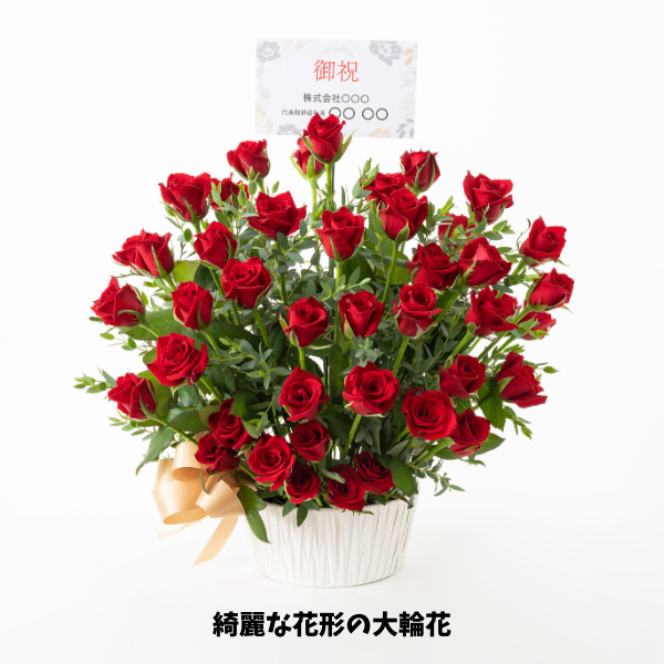 ホシファーム　薔薇の御祝アレンジメント　ルージュ