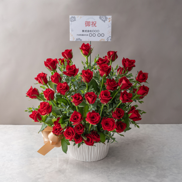 ホシファーム　薔薇の御祝アレンジメント　ルージュ