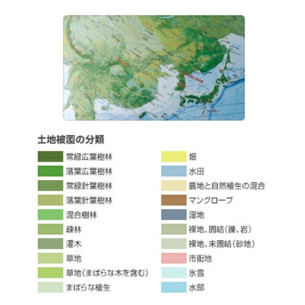 地球儀　土地被覆タイプ　３０ｃｍ