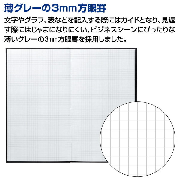 野帳スケッチ３ｍｍ方眼