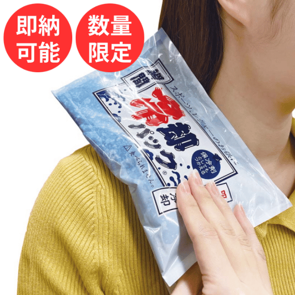 瞬間冷却パック ラージ